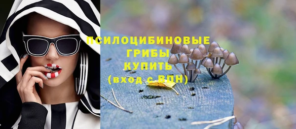 герыч Богородск