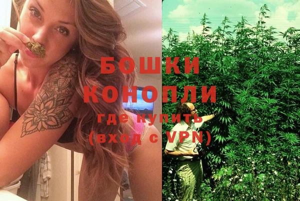 трава Богданович