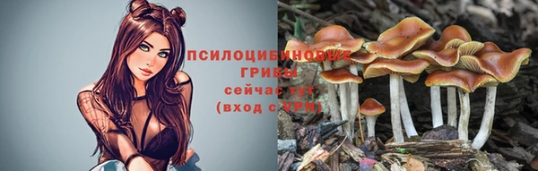 твердый Бронницы
