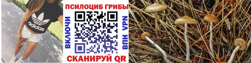 Галлюциногенные грибы прущие грибы  Сосногорск 